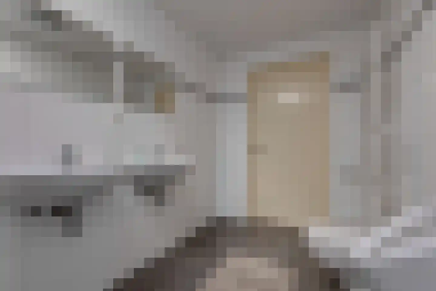 Voskuilweg 2 Winterswijk Miste thumbnail 138