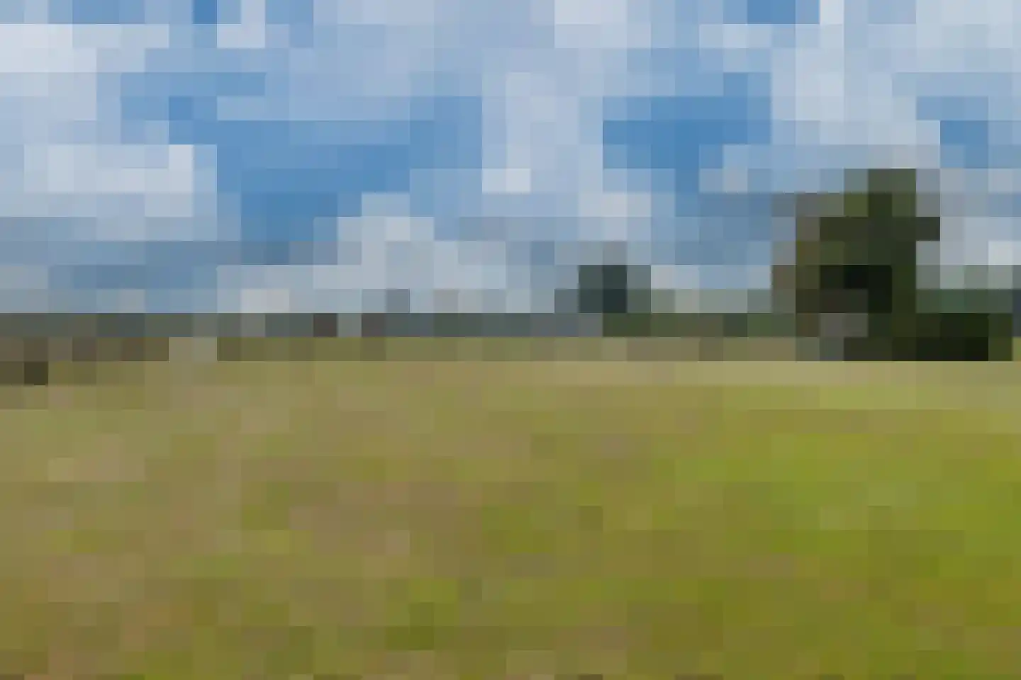 Voskuilweg 2 Winterswijk Miste thumbnail 153