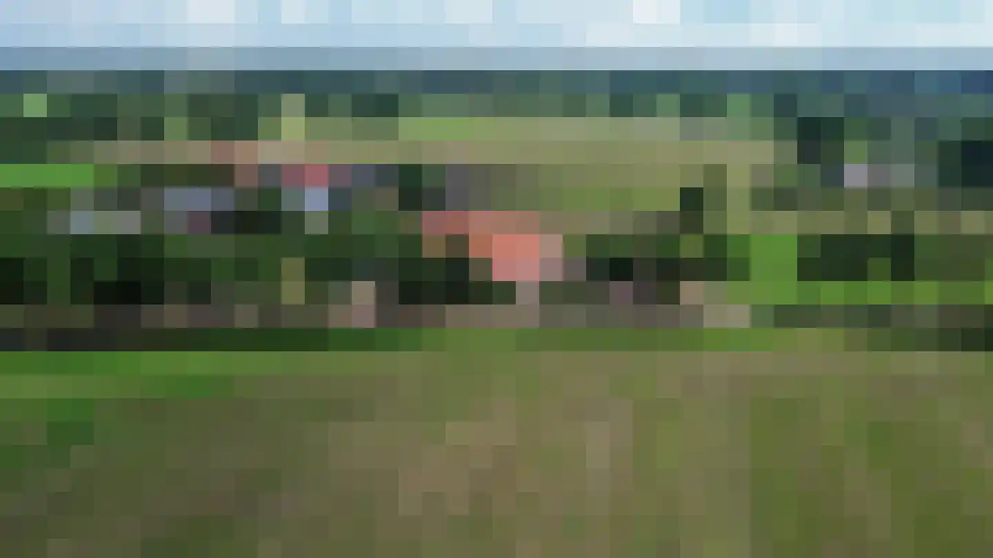Voskuilweg 2 Winterswijk Miste thumbnail 158