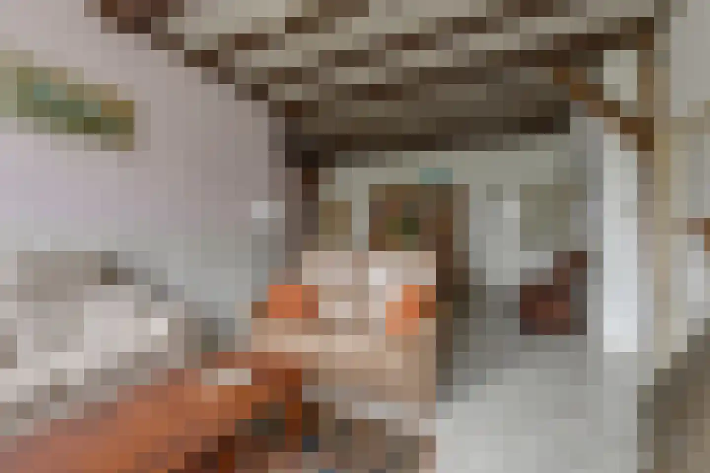 Voskuilweg 2 Winterswijk Miste thumbnail 16