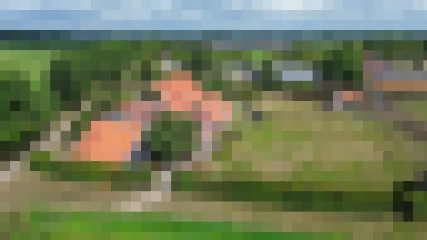 Voskuilweg 2 Winterswijk Miste thumbnail 160