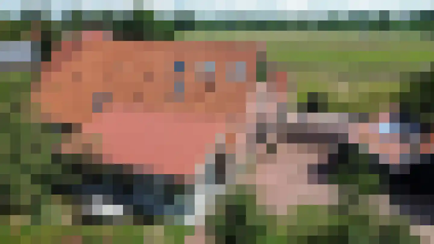 Voskuilweg 2 Winterswijk Miste thumbnail 168