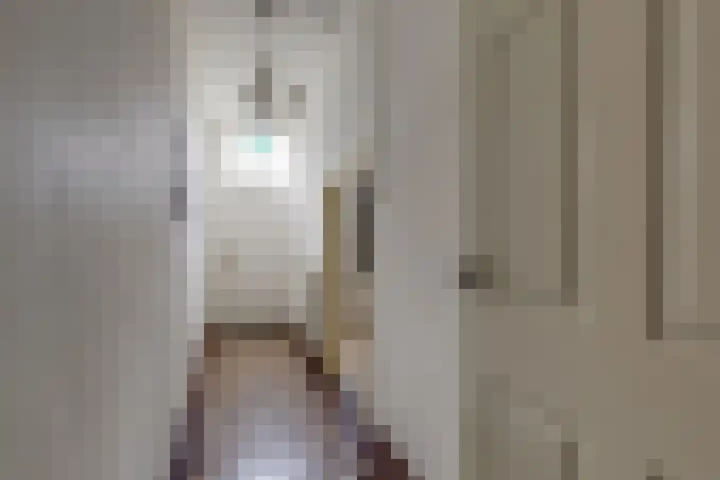 Voskuilweg 2 Winterswijk Miste thumbnail 21