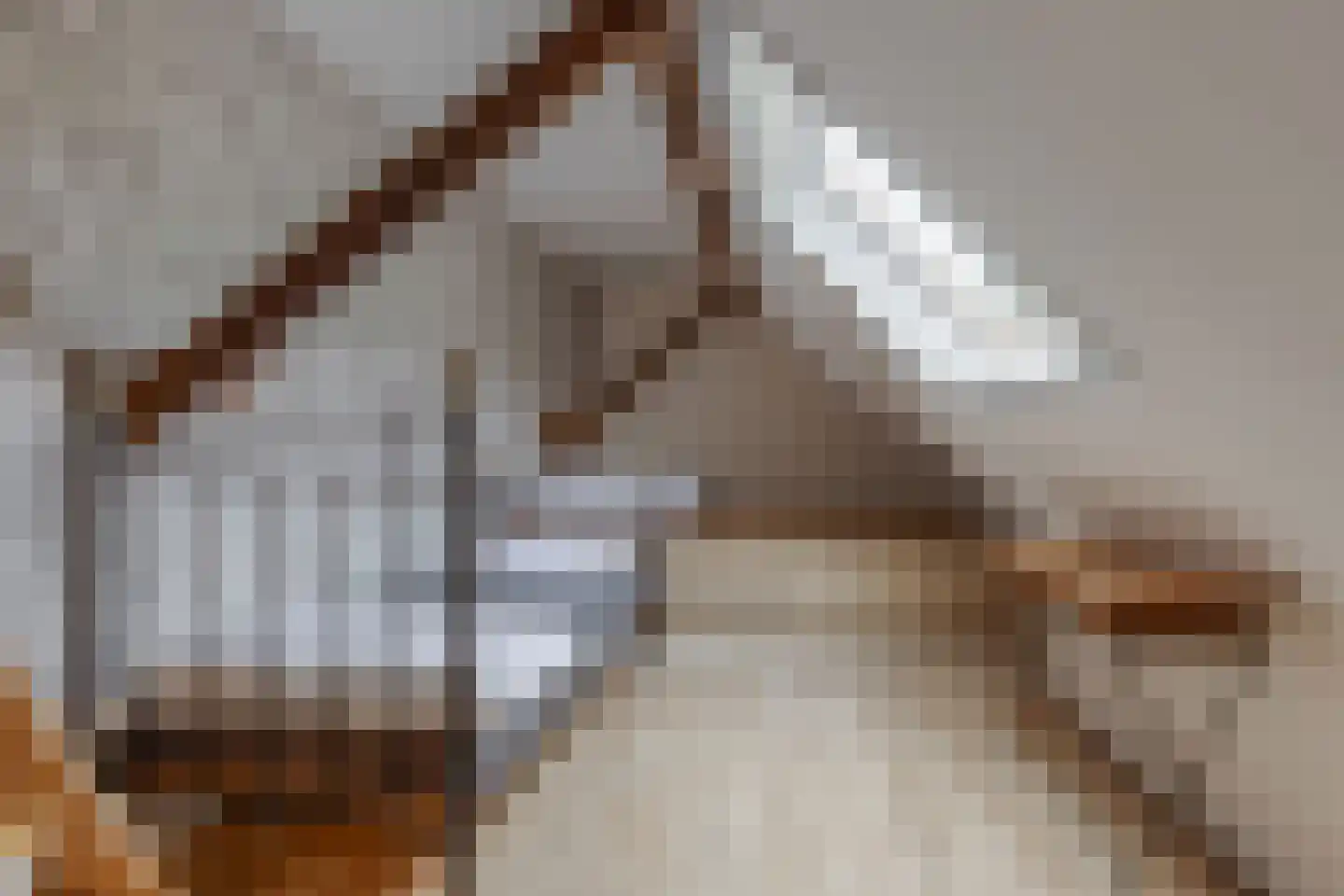 Voskuilweg 2 Winterswijk Miste thumbnail 43