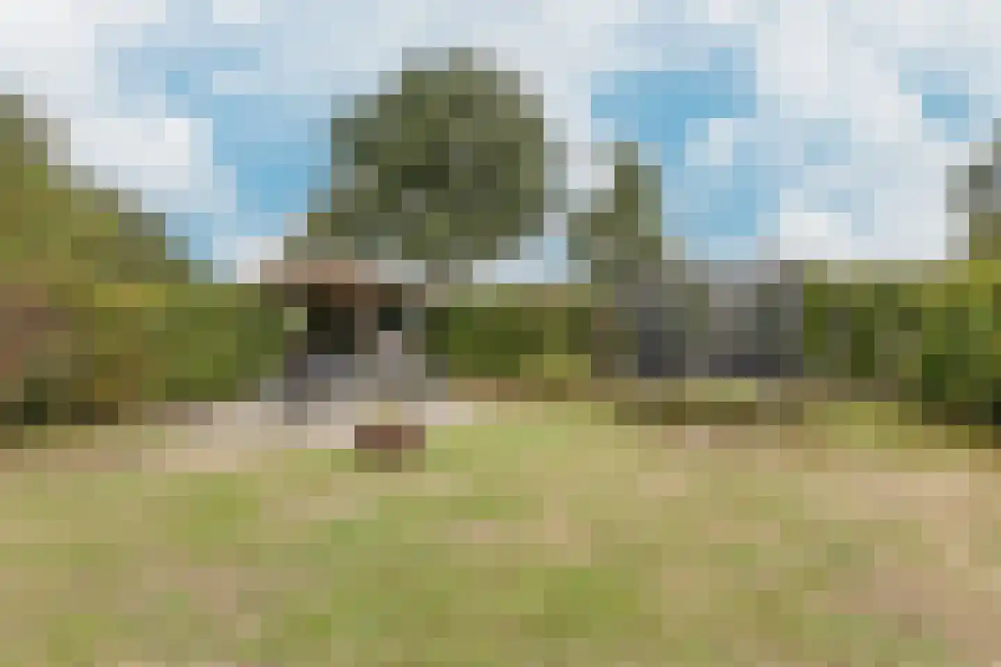 Voskuilweg 2 Winterswijk Miste thumbnail 48