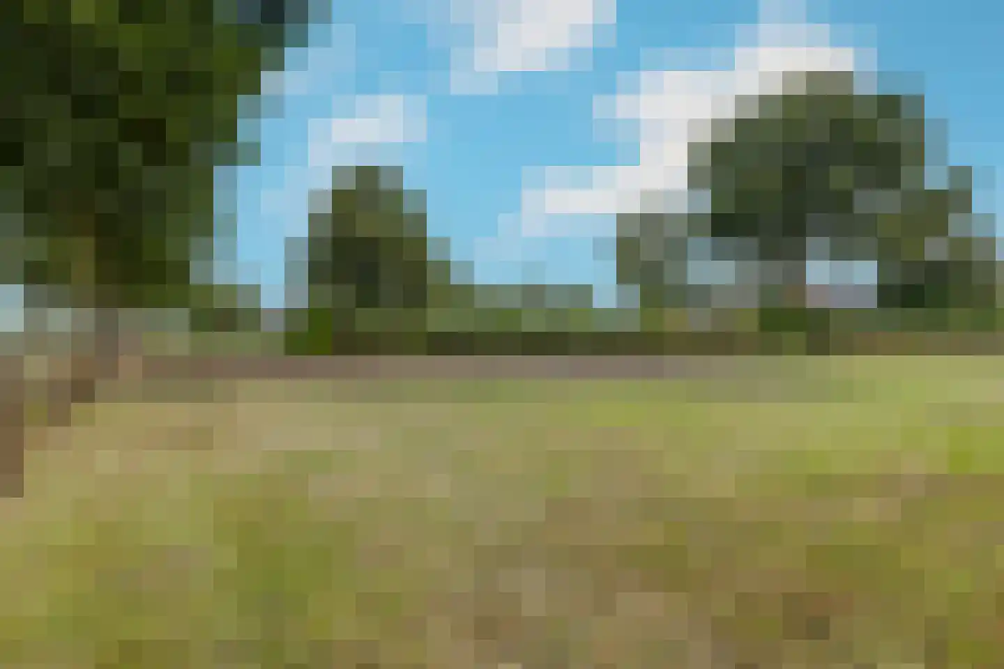 Voskuilweg 2 Winterswijk Miste thumbnail 54