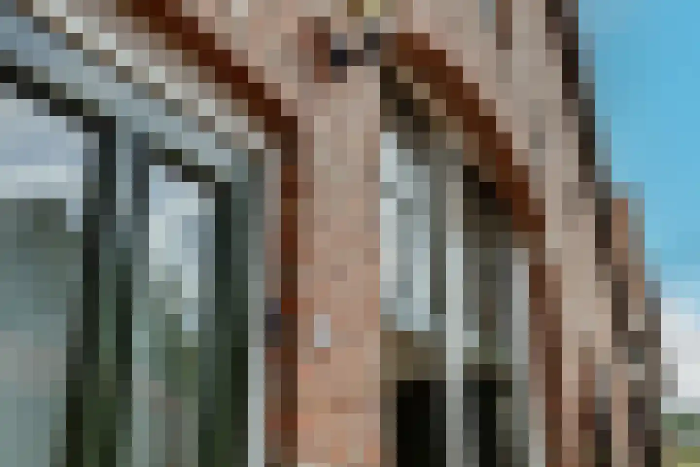 Voskuilweg 2 Winterswijk Miste thumbnail 69