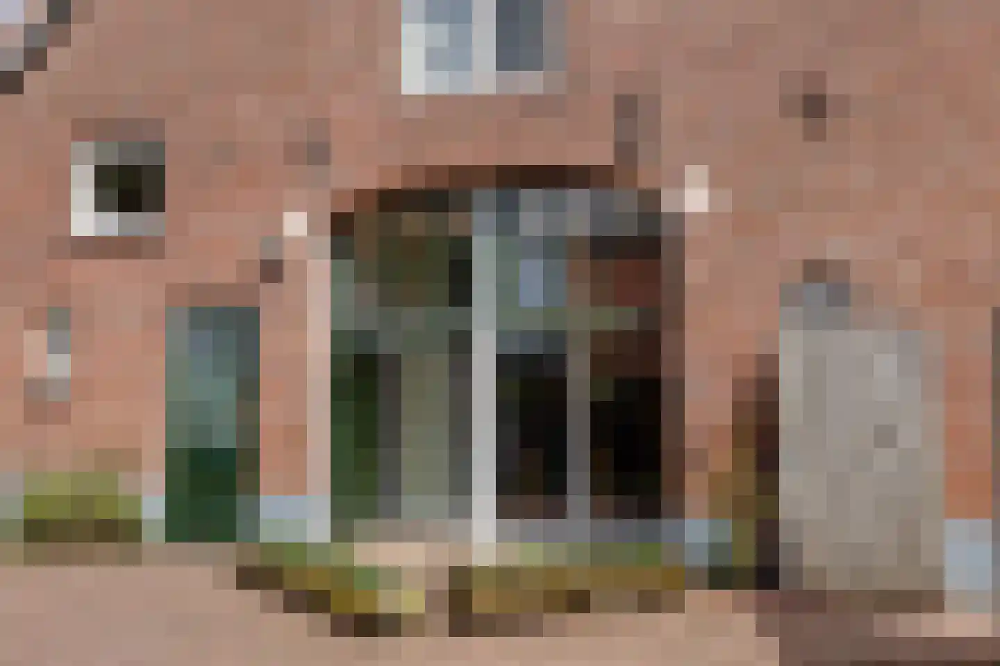Voskuilweg 2 Winterswijk Miste thumbnail 71
