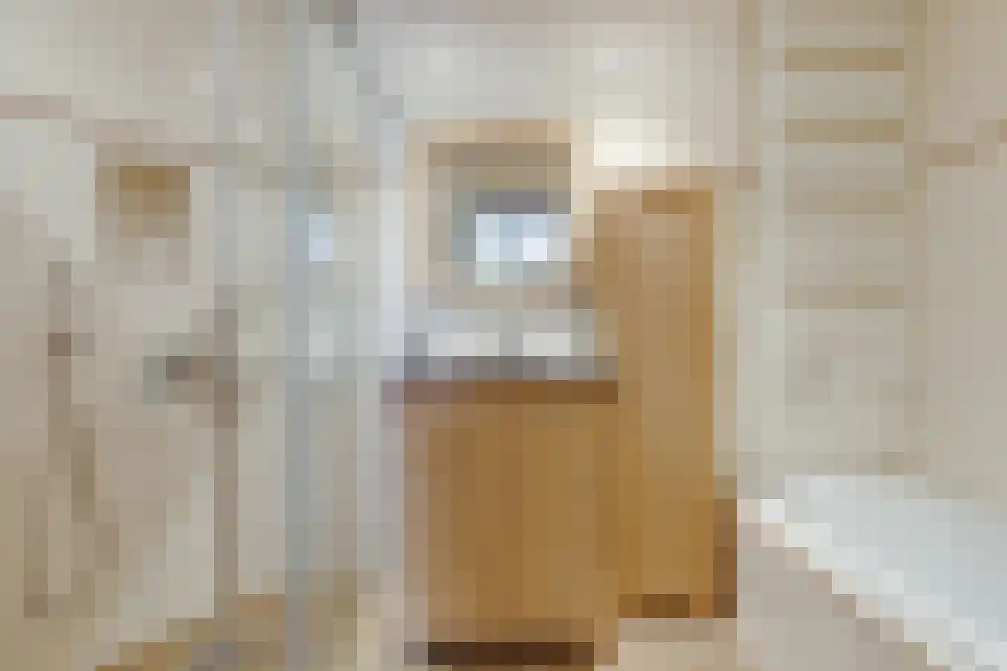 Voskuilweg 2 Winterswijk Miste thumbnail 88