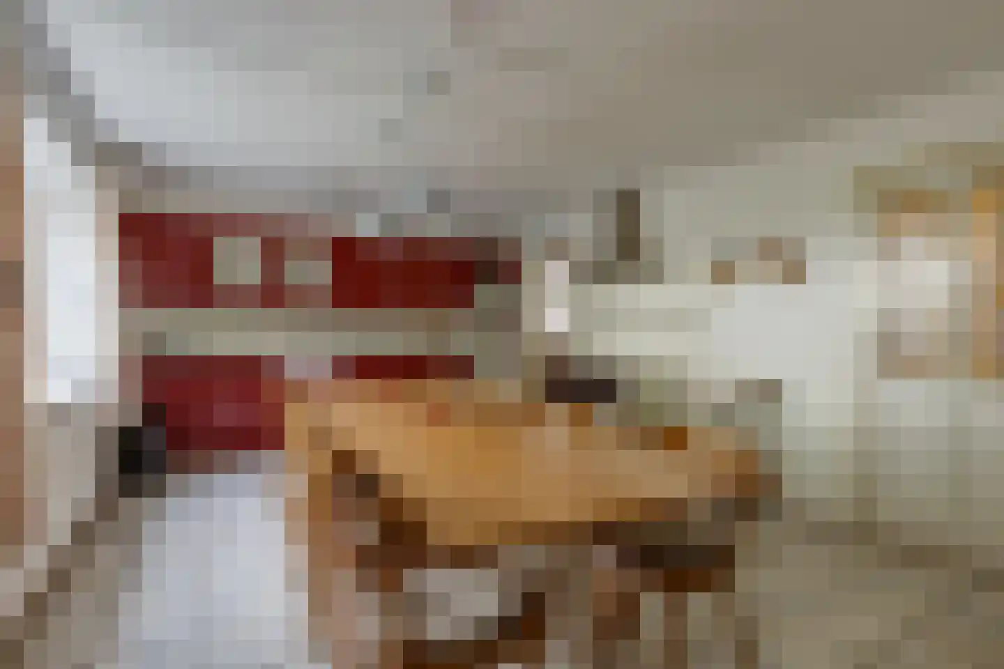 Voskuilweg 2 Winterswijk Miste thumbnail 9
