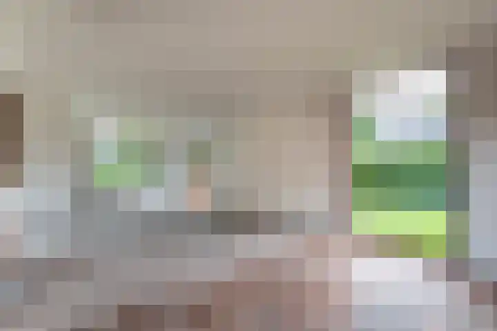 Vosland 22 Diepenheim thumbnail 14
