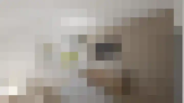 Vosland 22 Diepenheim thumbnail 23