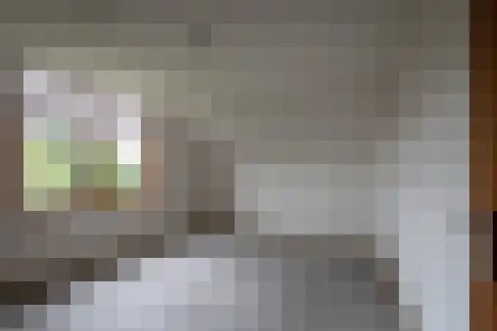 Vosland 22 Diepenheim thumbnail 24