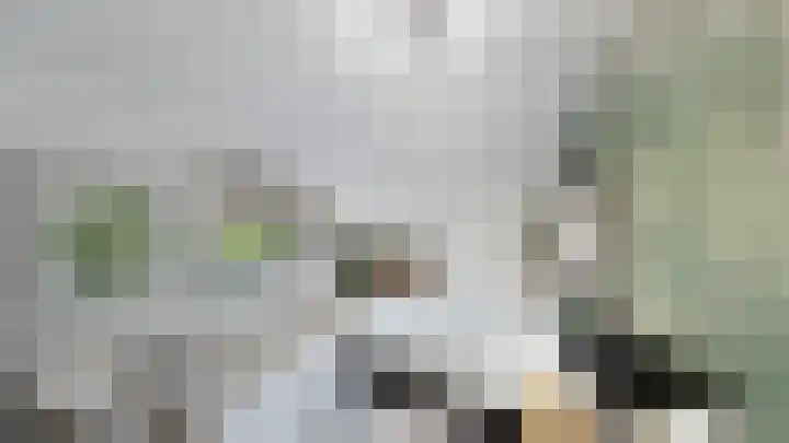 Vosland 22 Diepenheim thumbnail 25
