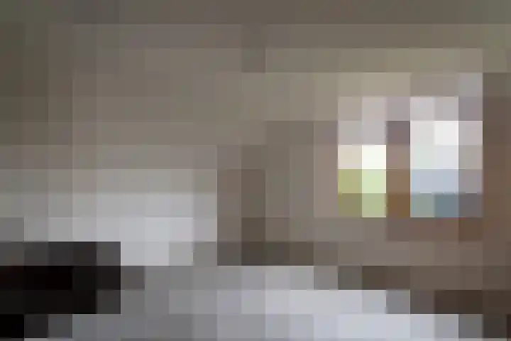 Vosland 22 Diepenheim thumbnail 26
