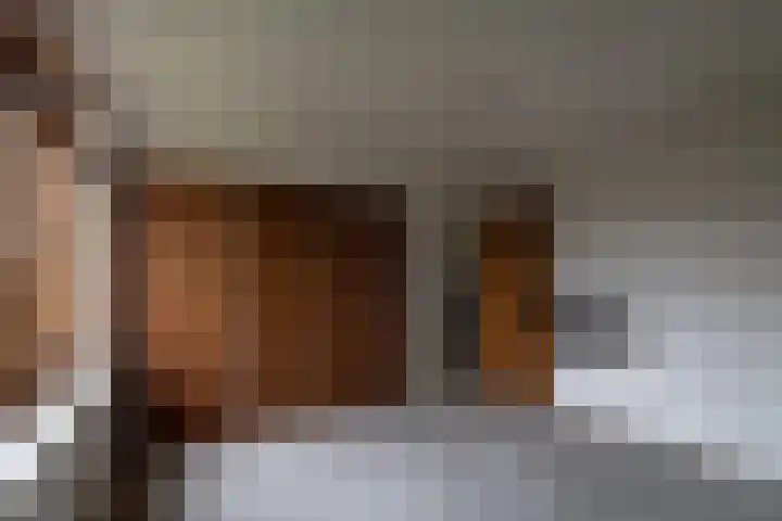 Vosland 22 Diepenheim thumbnail 29