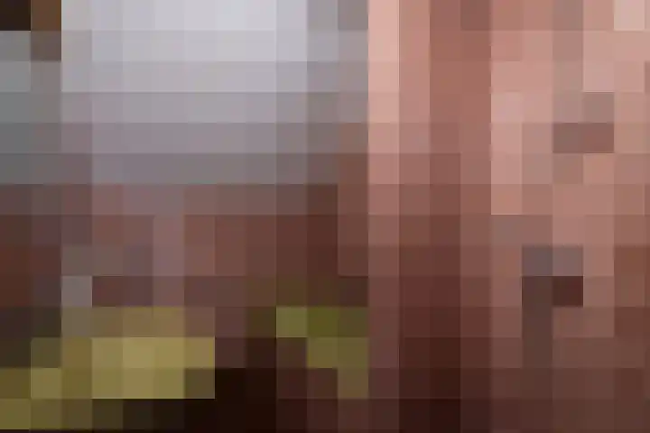 Vosland 22 Diepenheim thumbnail 33