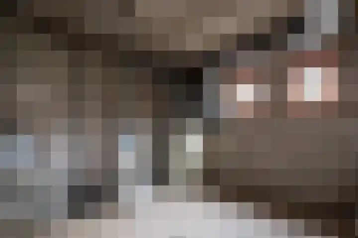 Vosland 22 Diepenheim thumbnail 37