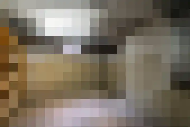 Vosland 22 Diepenheim thumbnail 38