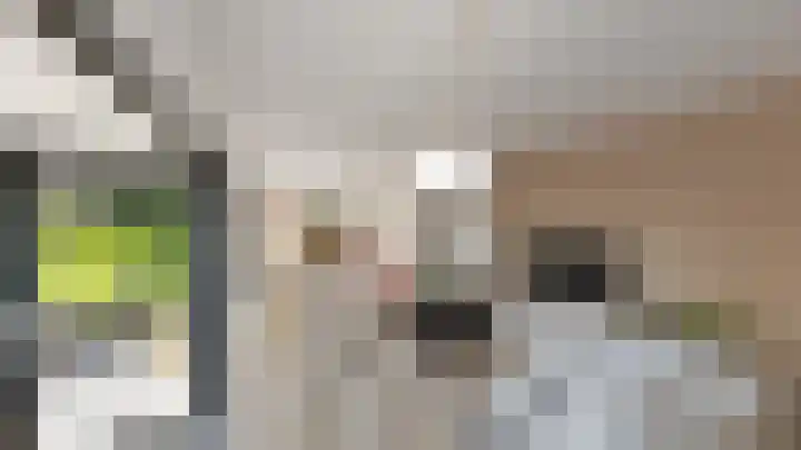 Vosland 22 Diepenheim thumbnail 4