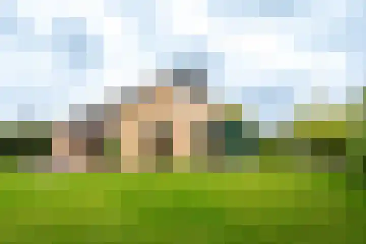 Vosland 22 Diepenheim thumbnail 42
