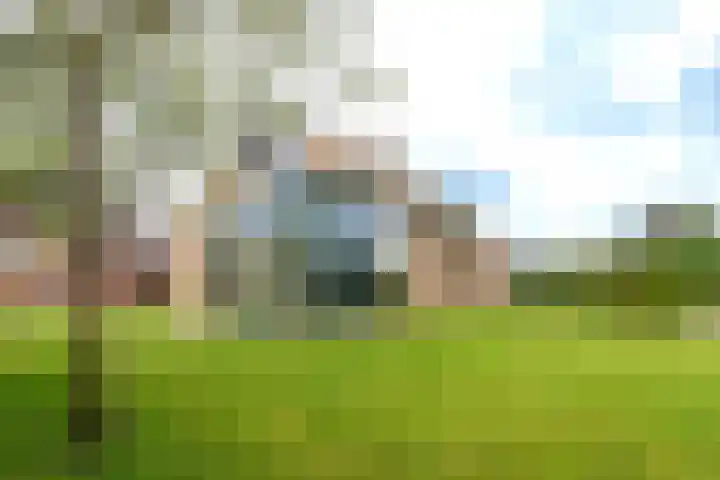 Vosland 22 Diepenheim thumbnail 43