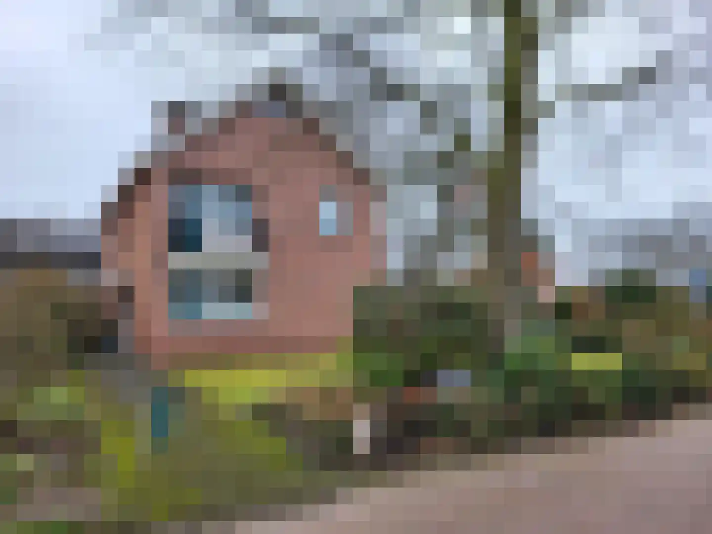 Vosland 33 dans Diepenheim
