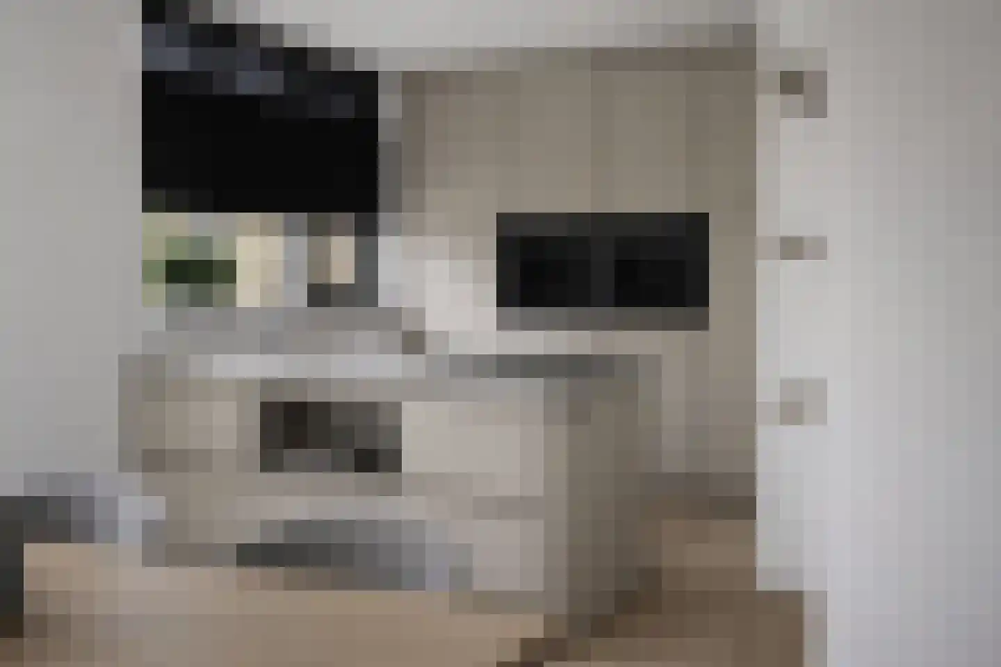 Vosland 33 Diepenheim thumbnail 22