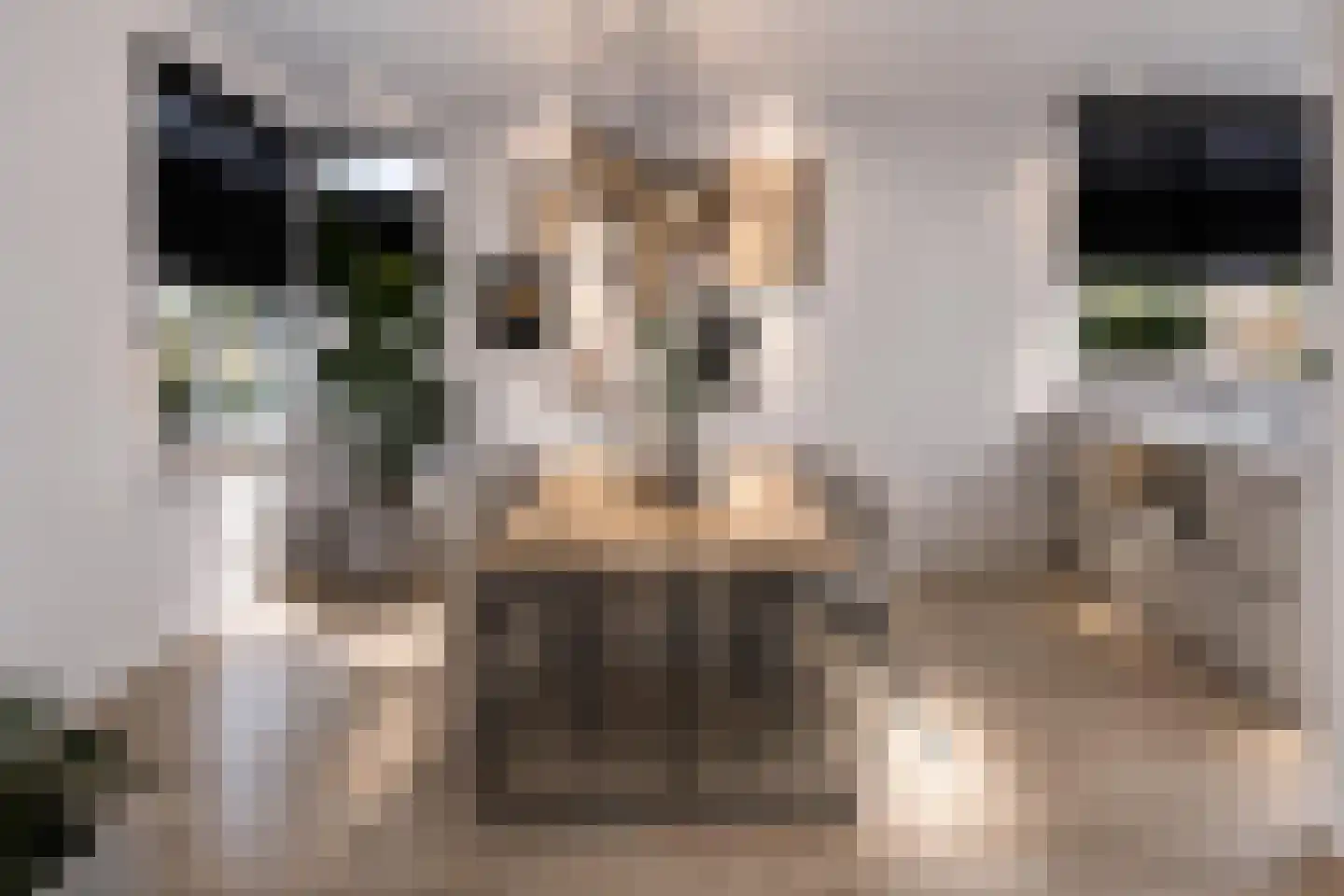 Vosland 33 Diepenheim thumbnail 23
