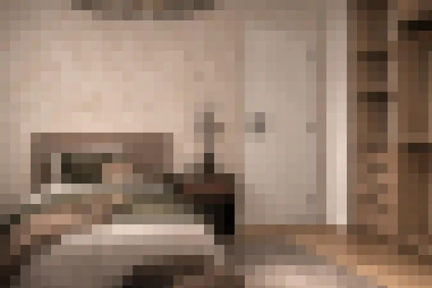 Vosland 33 Diepenheim thumbnail 29