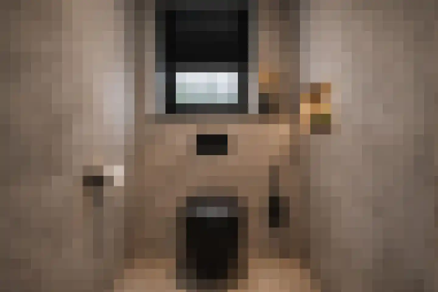 Vosland 33 Diepenheim thumbnail 33