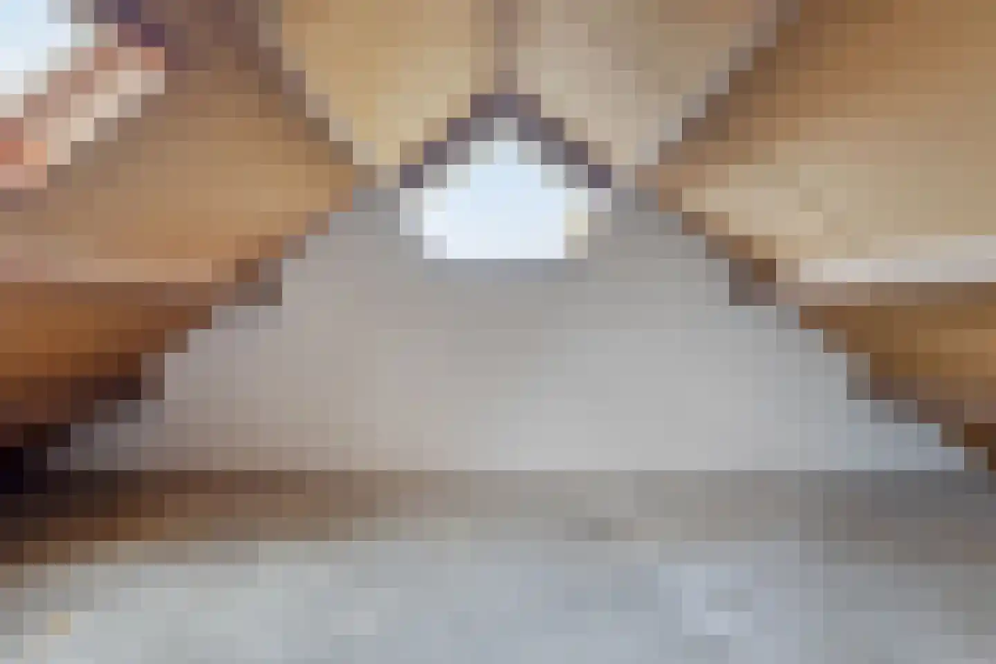 Vosland 33 Diepenheim thumbnail 41