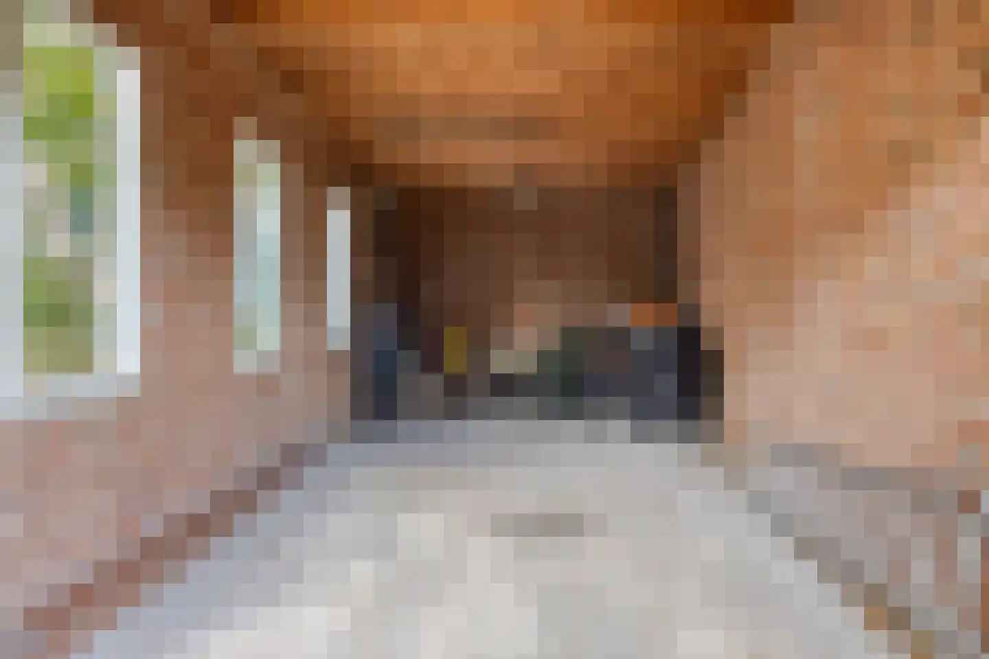 Vosland 33 Diepenheim thumbnail 44