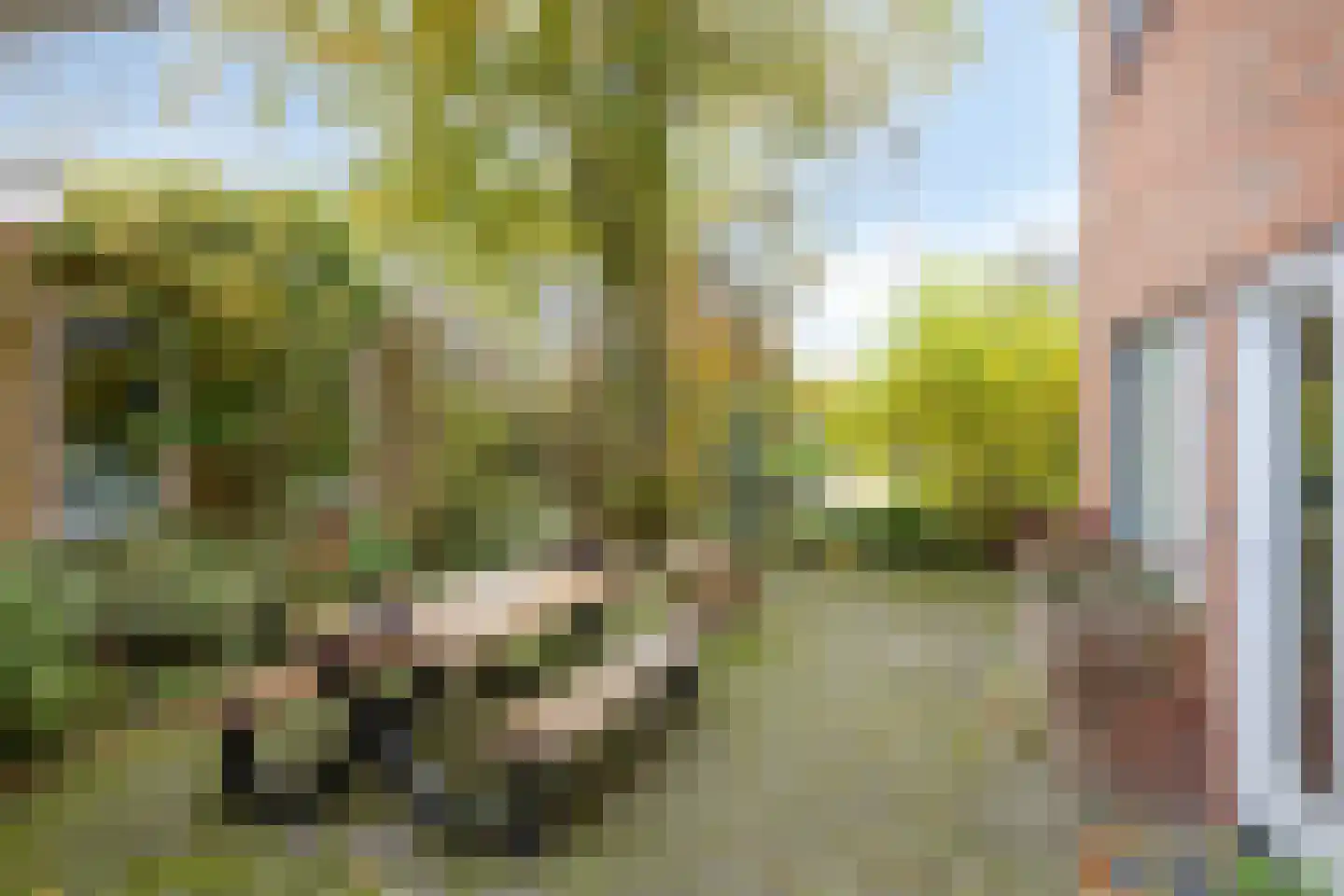 Vosland 33 Diepenheim thumbnail 45