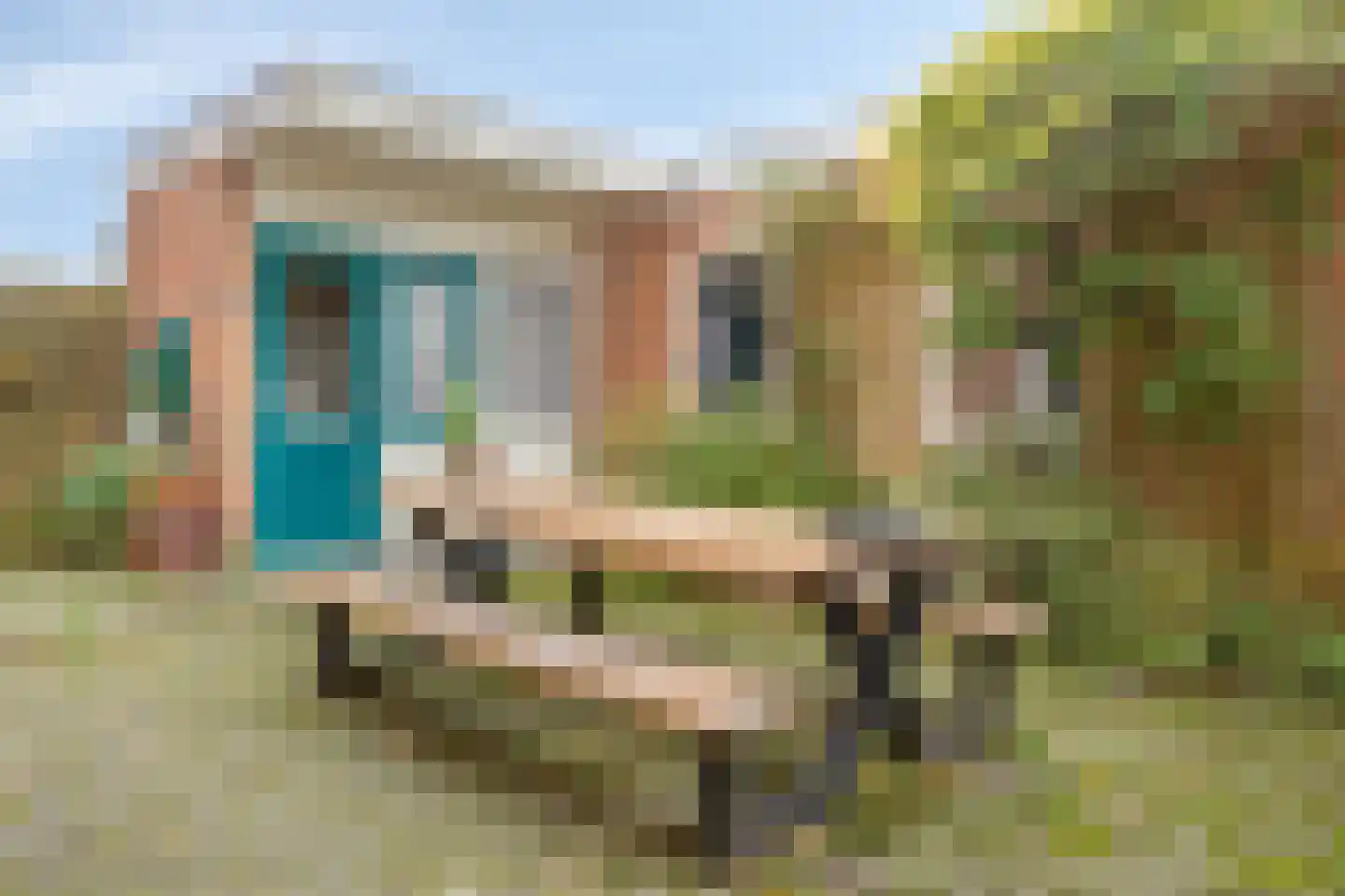 Vosland 33 Diepenheim thumbnail 46