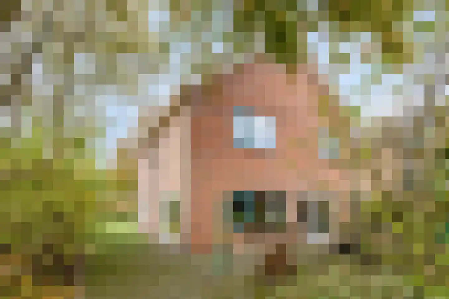 Vosland 33 Diepenheim thumbnail 49
