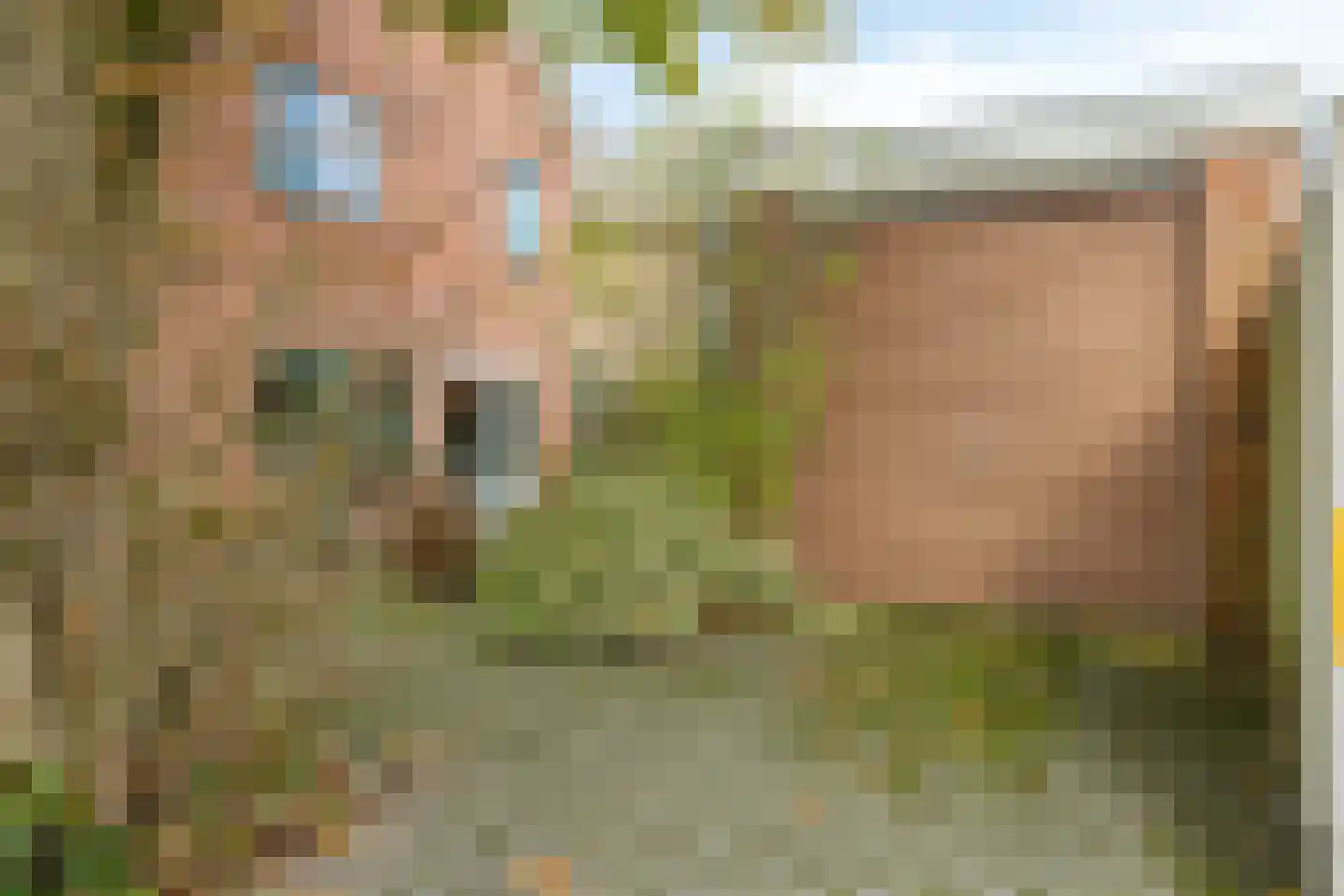 Vosland 33 Diepenheim thumbnail 51