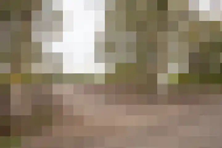 Vosmaatweg 2 a Vriezenveen thumbnail 12