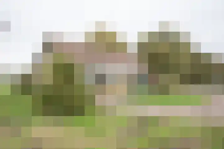 Vosmaatweg 2 a Vriezenveen thumbnail 13