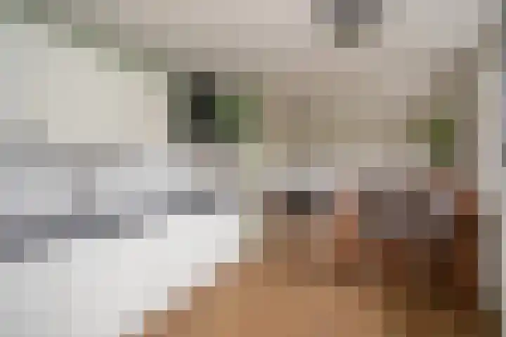 Vosmaatweg 2 a Vriezenveen thumbnail 18