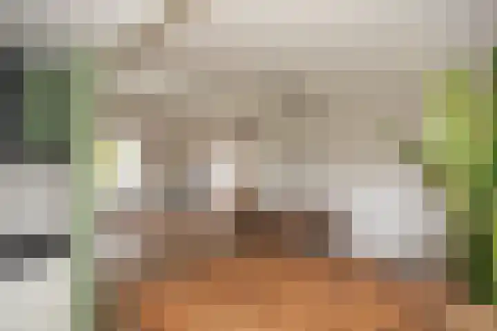 Vosmaatweg 2 a Vriezenveen thumbnail 19