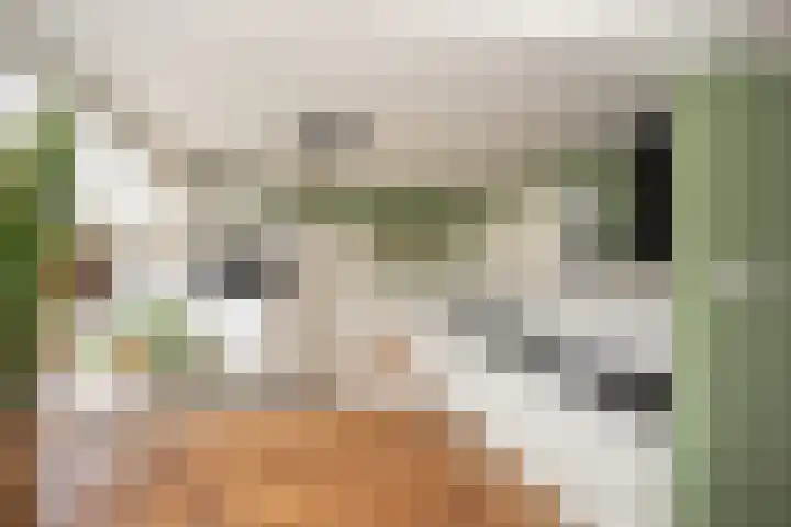 Vosmaatweg 2 a Vriezenveen thumbnail 20