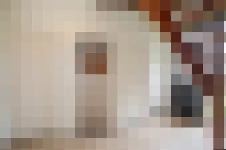 Vosmaatweg 2 a Vriezenveen thumbnail 32