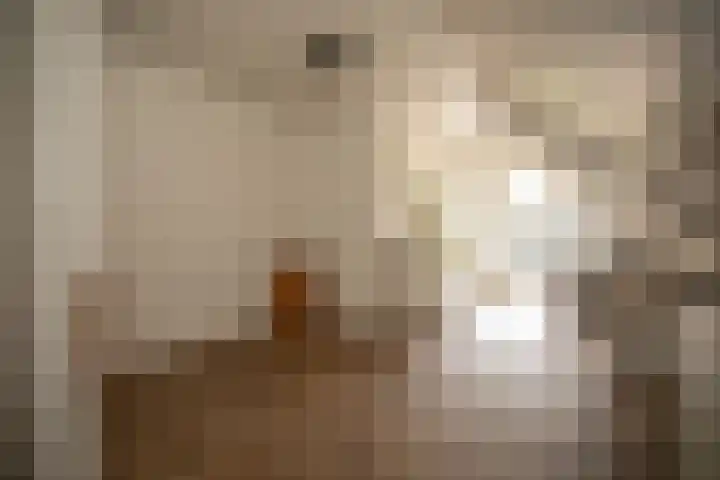 Vosmaatweg 2 a Vriezenveen thumbnail 41