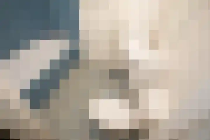 Vosmaatweg 2 a Vriezenveen thumbnail 44