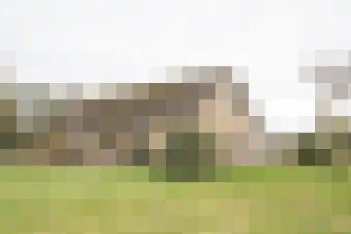 Vosmaatweg 2 a Vriezenveen thumbnail 5
