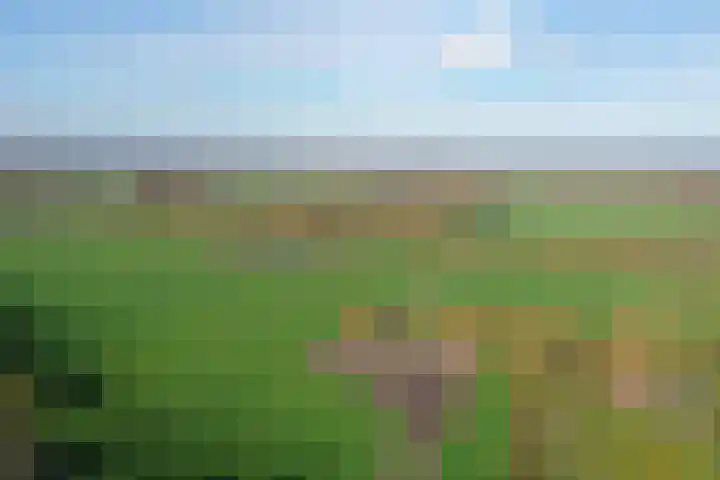 Vosmaatweg 2 a Vriezenveen thumbnail 51