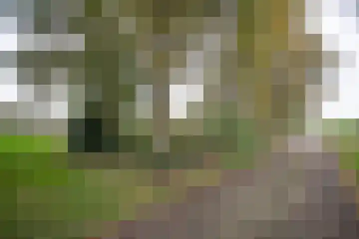 Vosmaatweg 2 a Vriezenveen thumbnail 53