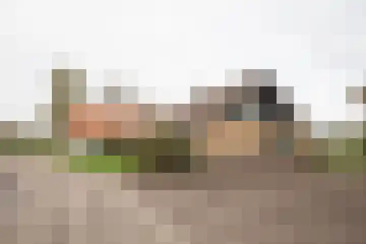 Vosmaatweg 2 a Vriezenveen thumbnail 54