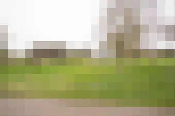 Vosmaatweg 2 a Vriezenveen thumbnail 55